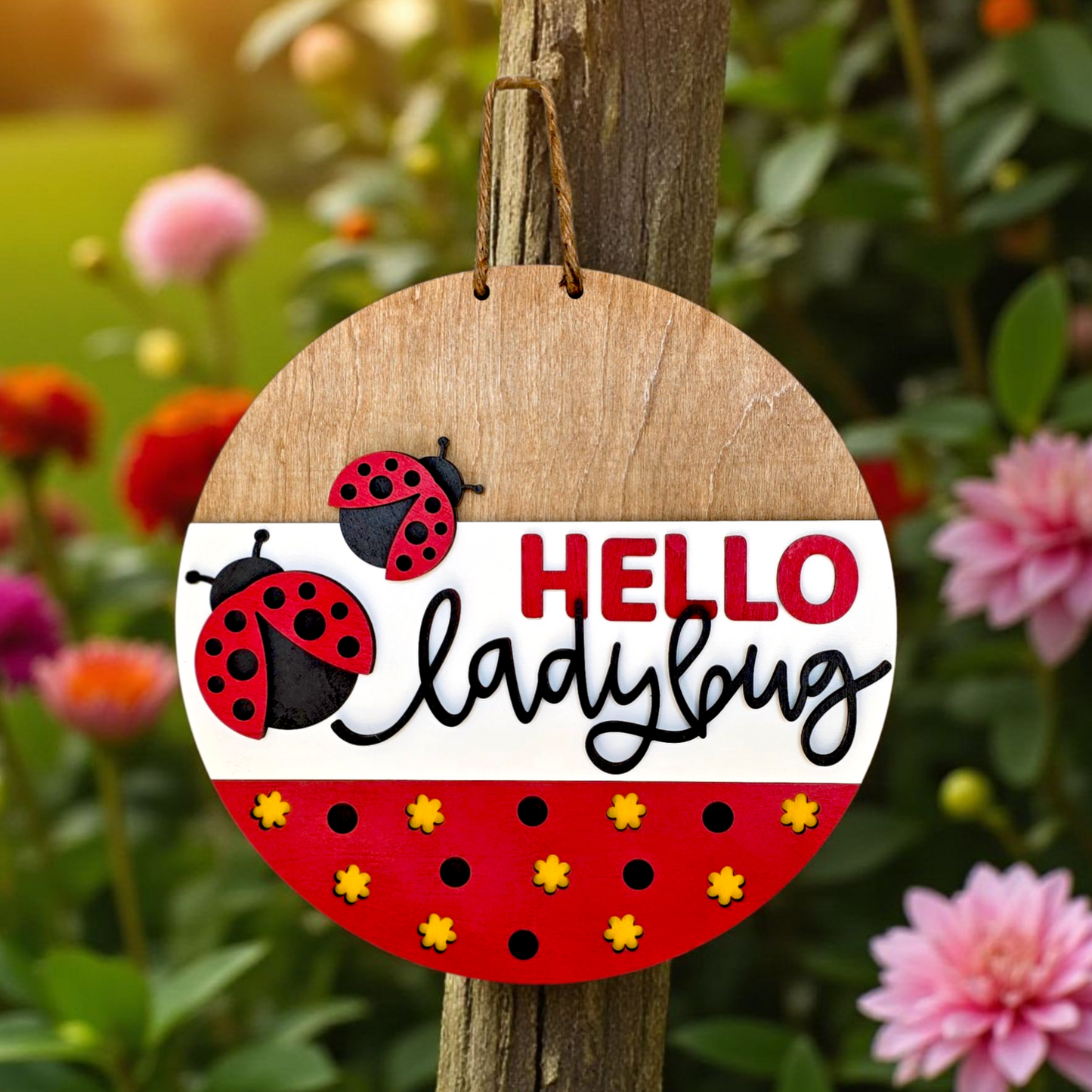 Hello Ladybug