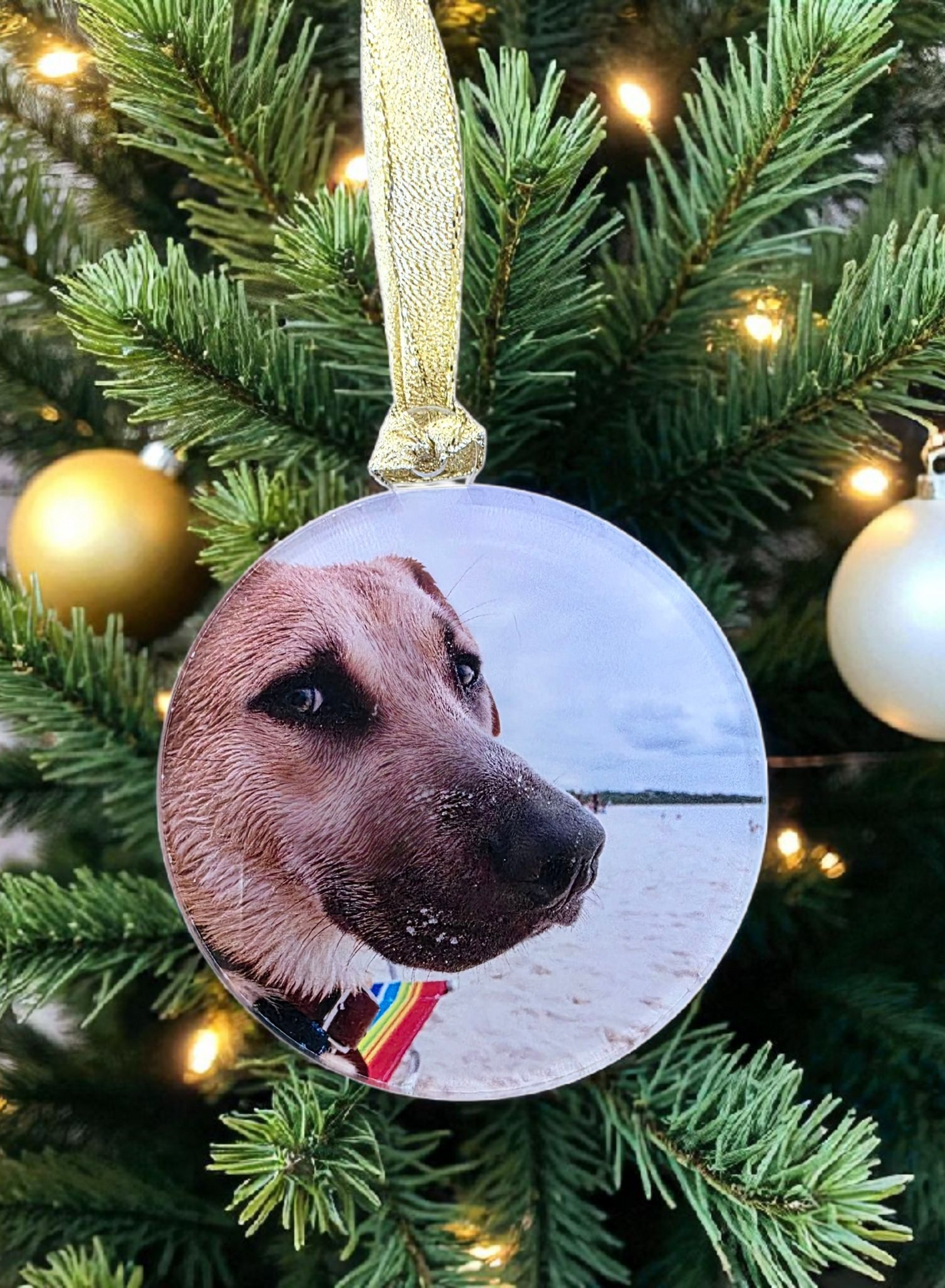 Christmas Photo Ornament